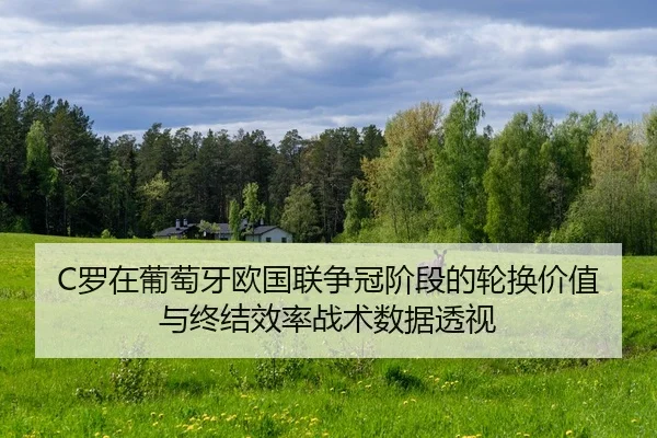 luo-zai-pu-tao-ya-ou-guo-lian-zheng-guan-jie-duan-de-lun-huan-jia-zhi-yu-zhong-jie-xiao-lv-zhan-shu-shu-ju-tou-shi-2-387.jpg